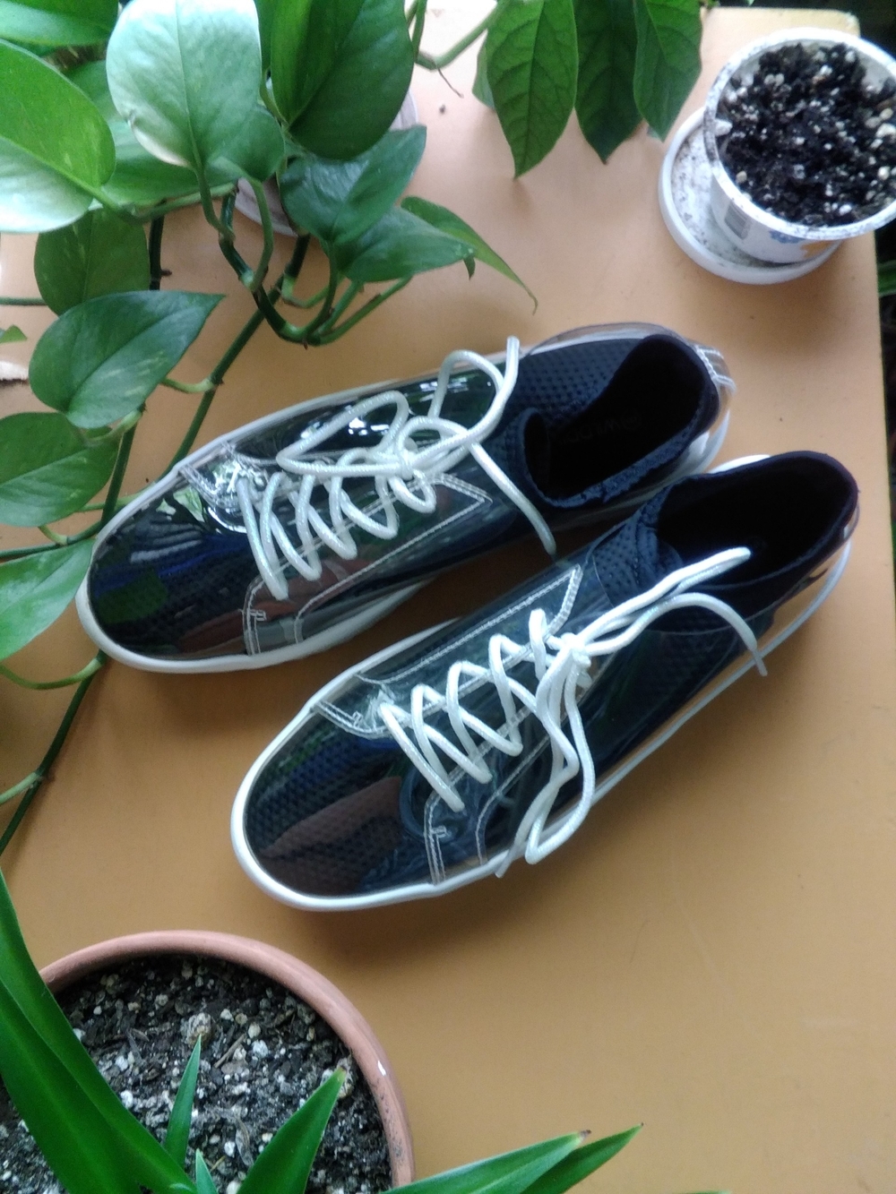 Women's Black Overlayed With Clear Plastic Platform Sneakers